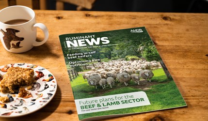 Ruminant News front cover